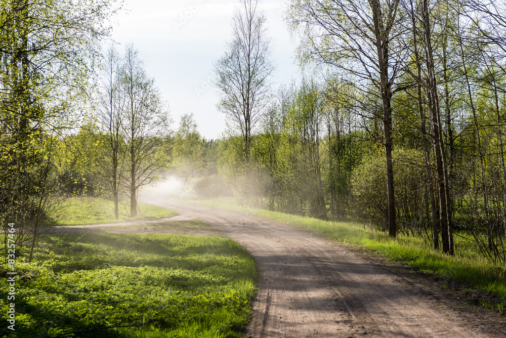 Fototapeta premium empty country road in forest with dust