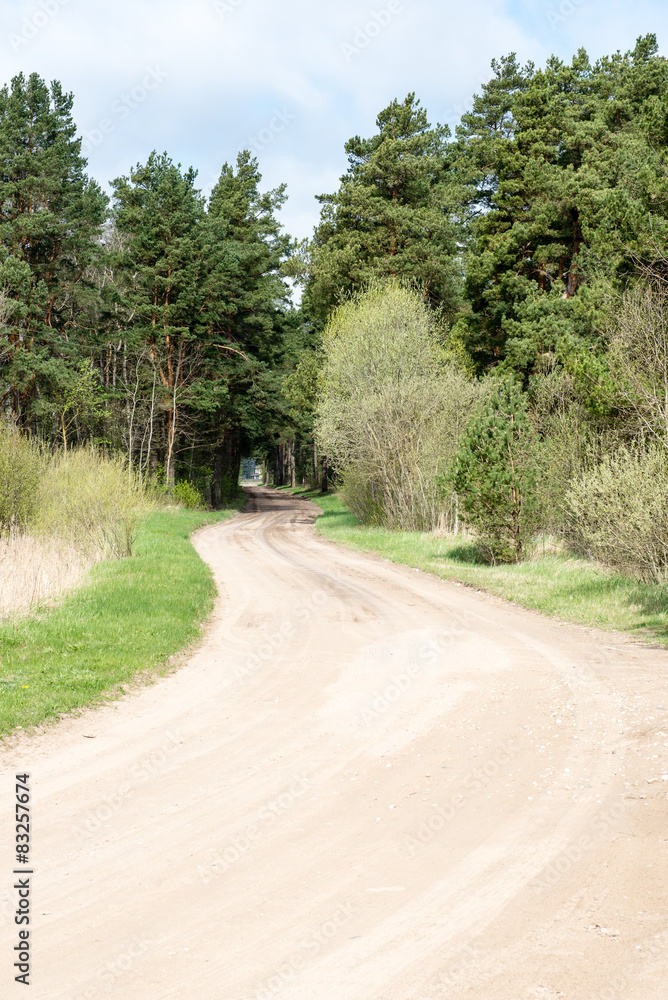 empty country road in spring