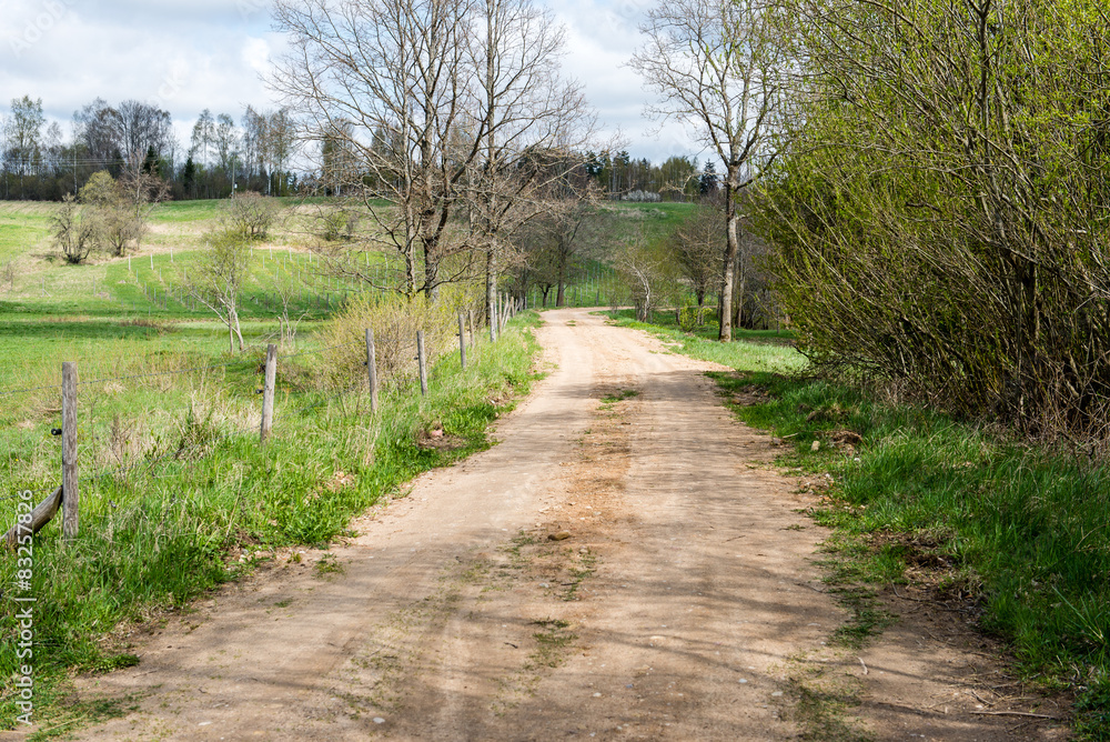 Fototapeta premium empty country road in forest