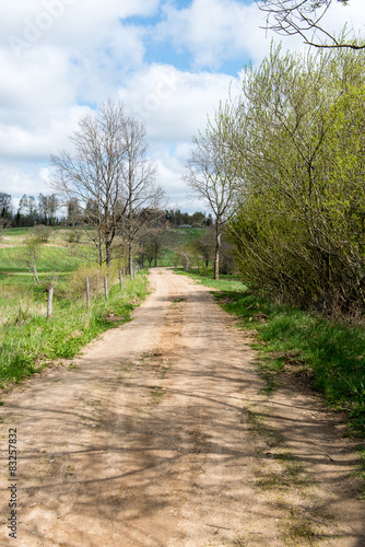 empty country road in forest