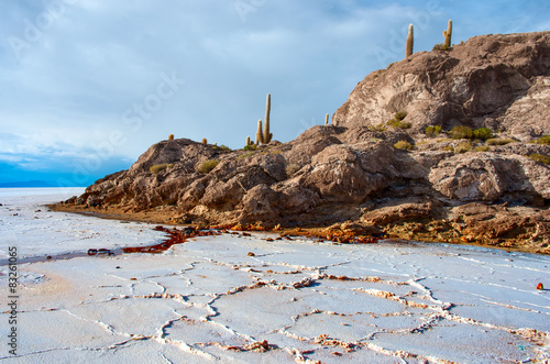 Incahuasi island in Salar de Uyuni, Bolivia photo