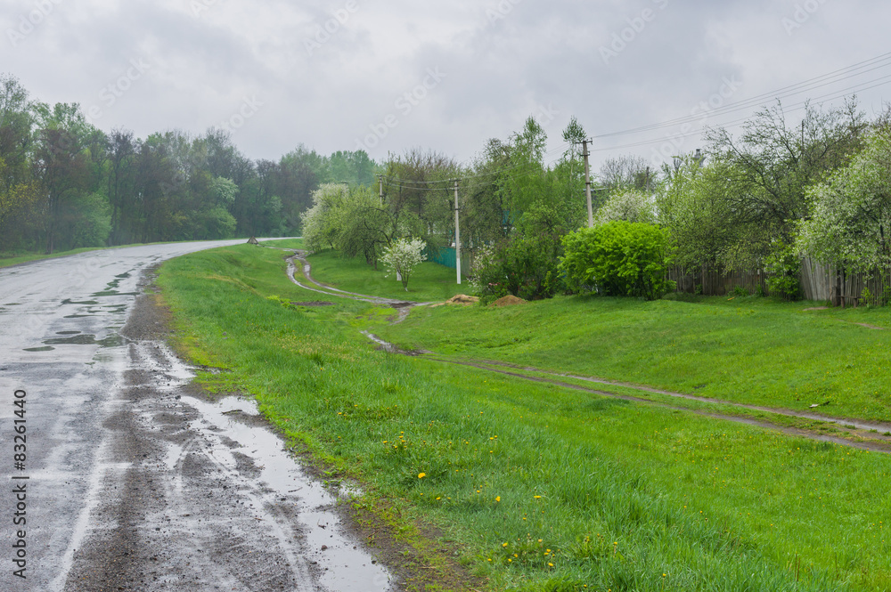 Ukrainian landscape at cloudy and rainy spring day