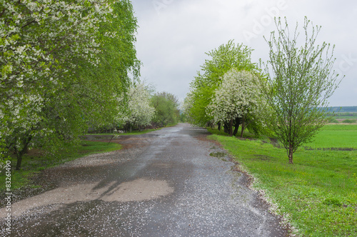 Country road in remote village in Poltavskaya oblast, Ukraine © Yuri Kravchenko