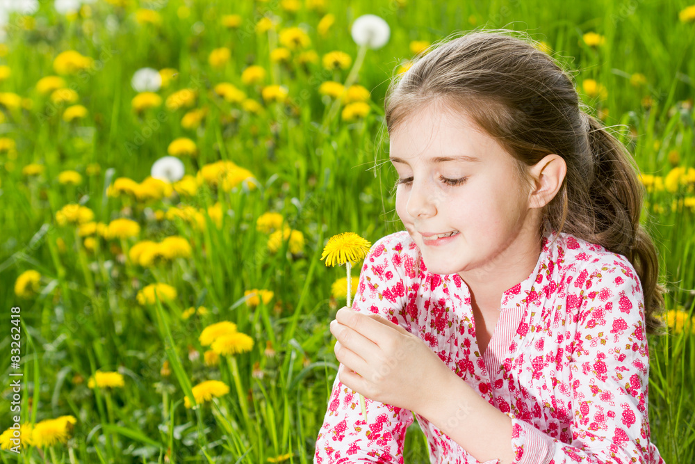 young beautiful girl in the field of dandelions young beautiful girl in the field of dandelions