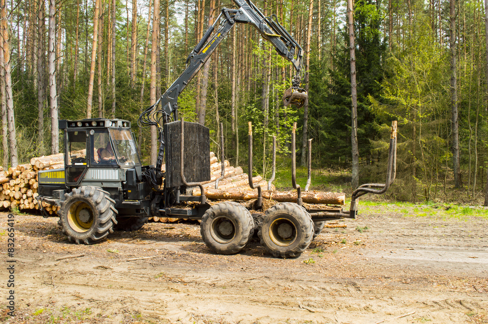 skidder skidder