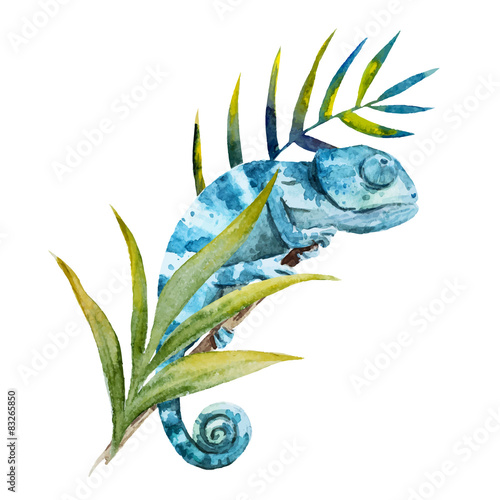 Chameleon