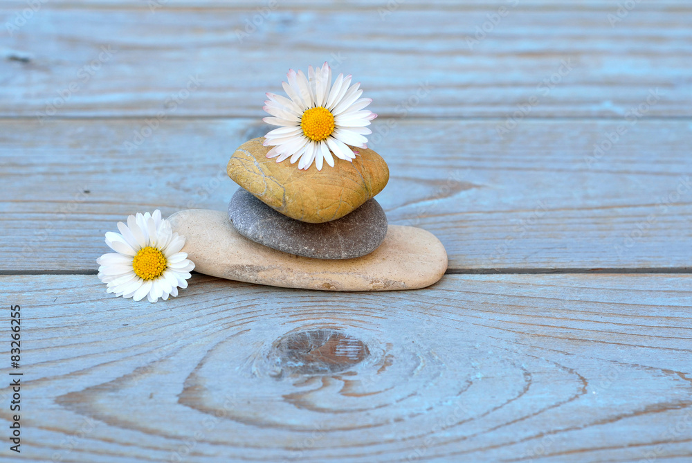 Zen stones on a old wooden background with daisies Zen stones on a old wooden background with daisies