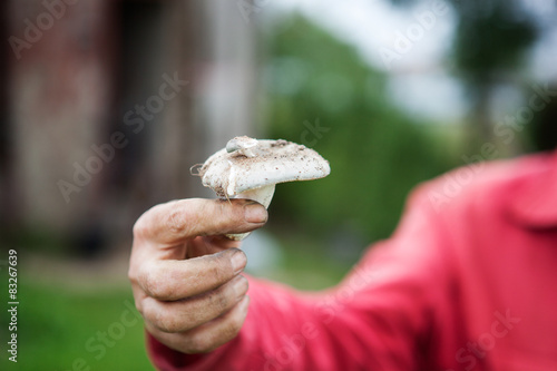 mushroom is in the hand