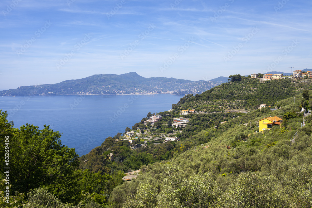 Ligurian coastline, springtime. Color image