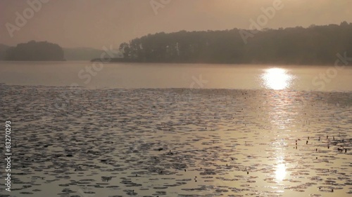 Morning fog on the lake with sunlight