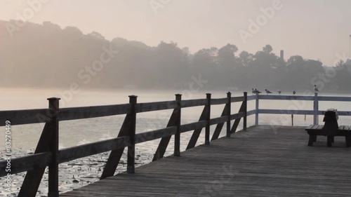 wooden pier with birds on the lake