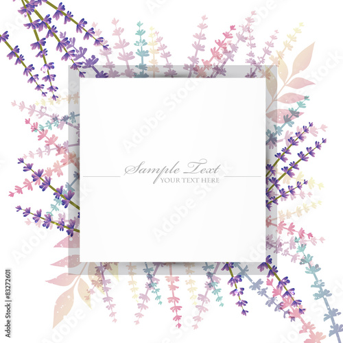 lavender background