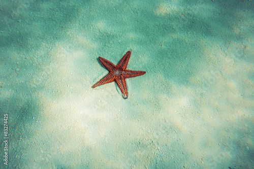 Starfish in blue water with light reflection #83274425