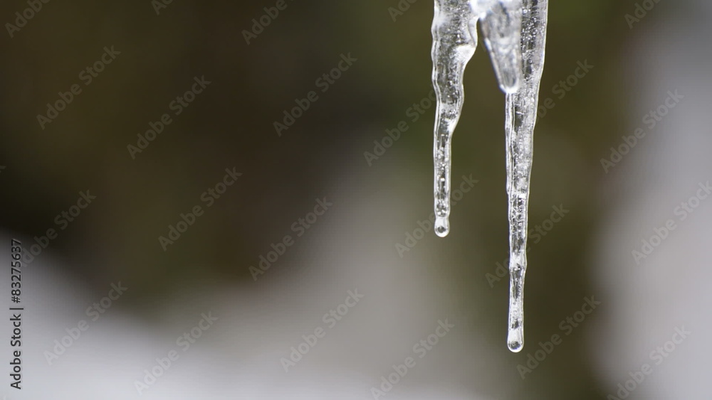 Icicles Slowly Melt in the Warm Weather Icicles Slowly Melt in the Warm Weather