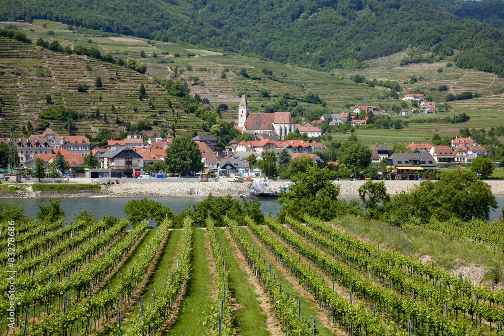 バァッハウ渓谷のワイン畑