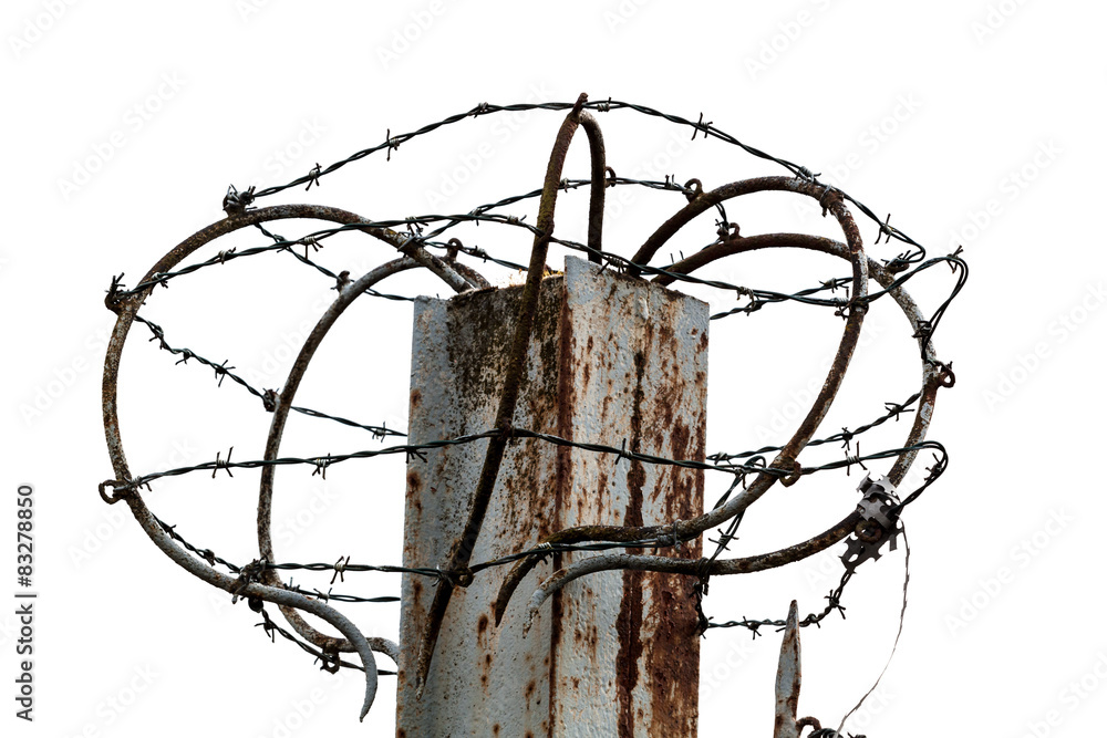 Barbed Wire on a white background StockFoto Adobe Stock