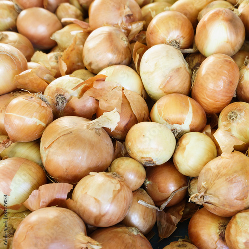 Fresh onion.  onions background