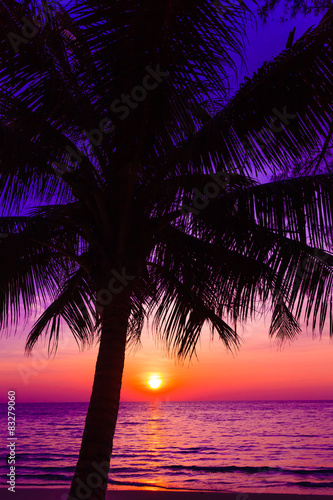 Beautiful sunset.  Sunset over the ocean with tropical palm tree