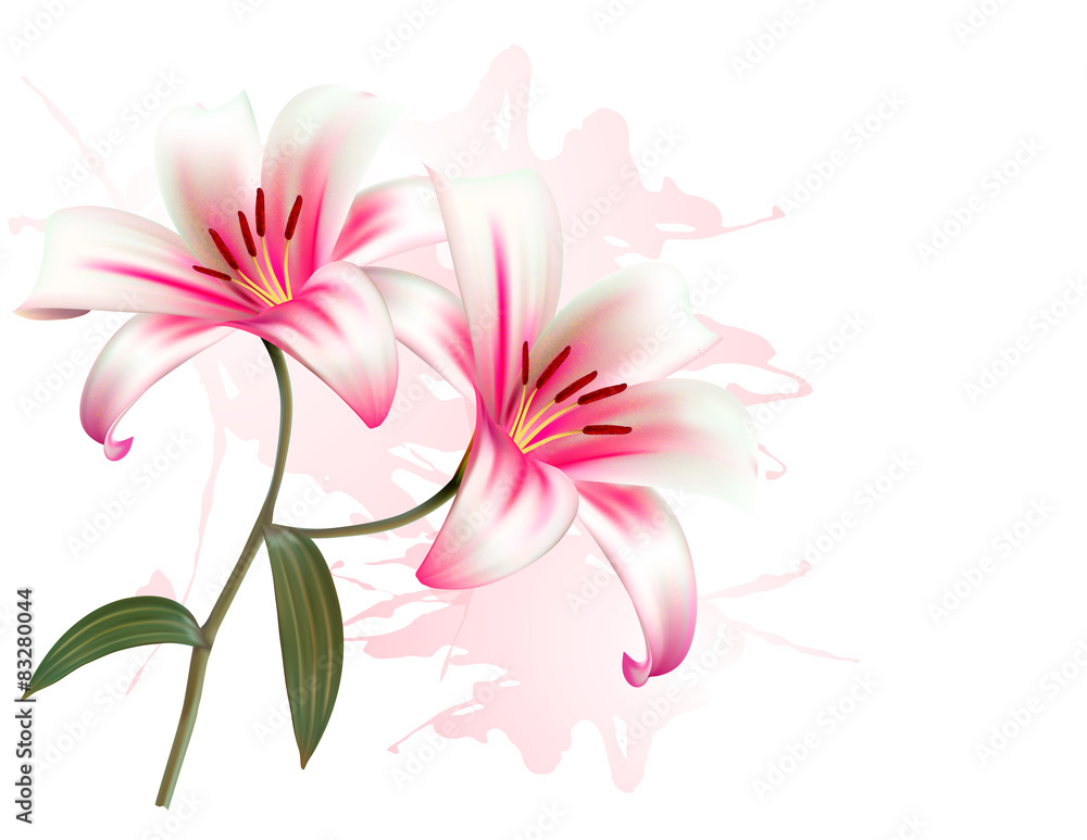 Flower Background With Two Beautiful Lilies. Vector.