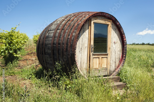Barrel-shaped room by the vineyards