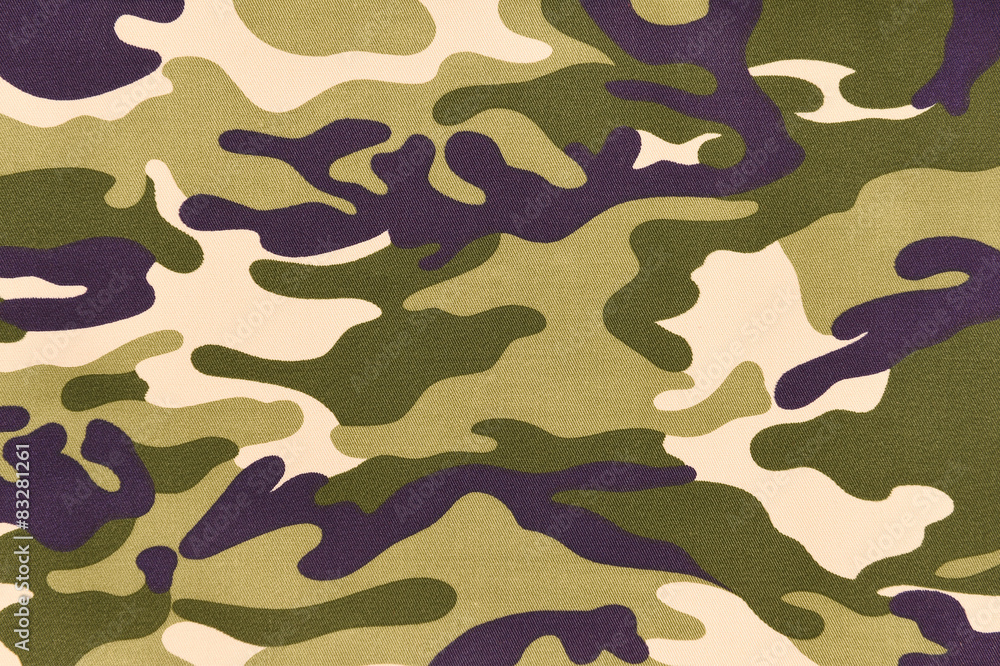 Camouflage pattern background or texture. Camouflage pattern background or texture.