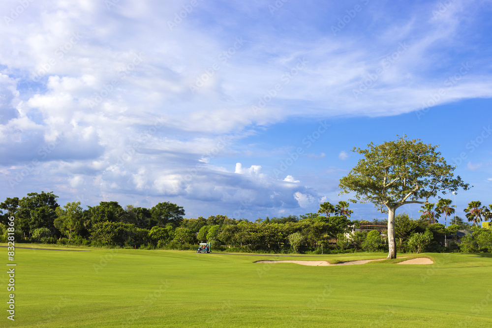 Beautiful View of Green Golf Field