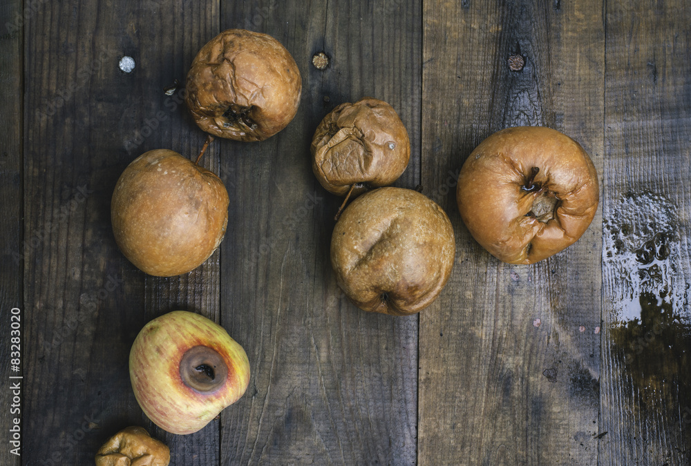 Rotten apples on wood Rotten apples on wood