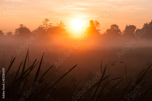 Sunrise and fog © saknakorn
