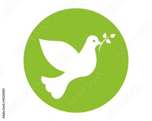 White dove with branch as religion symbol