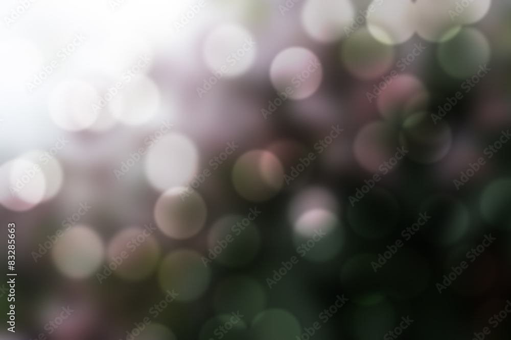 Abstract Blur of Sakura tree in the park with Bokeh Abstract Blur of Sakura tree in the park with Bokeh