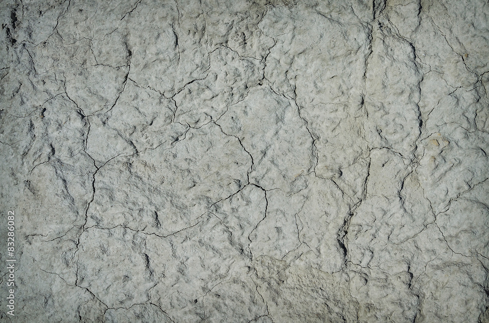Obraz premium dry cracked earth background