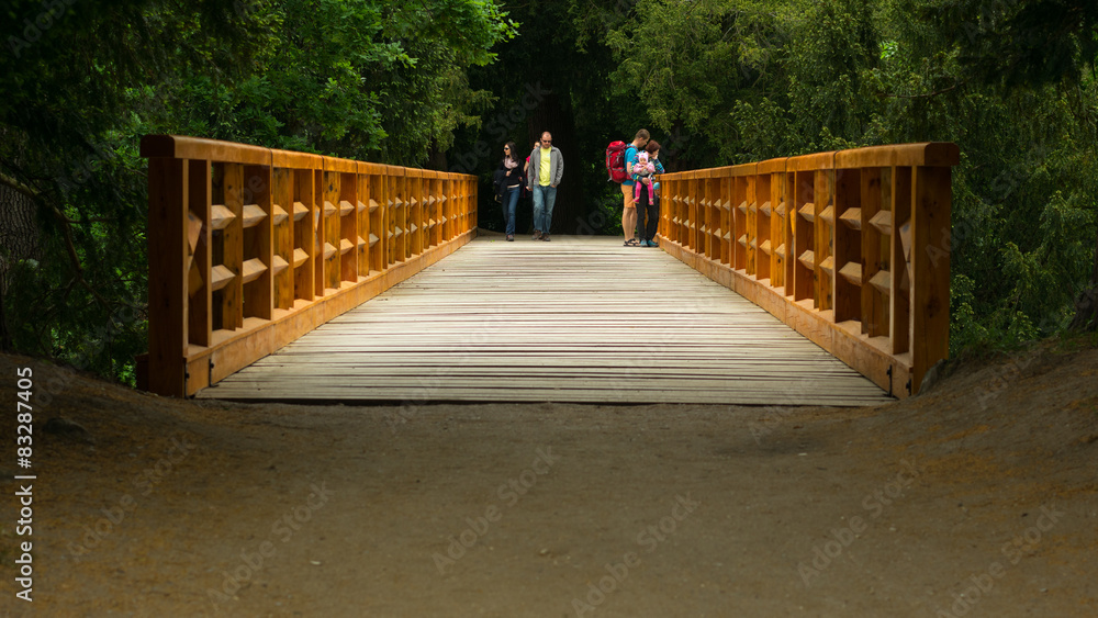 People standing on the wooden bridge