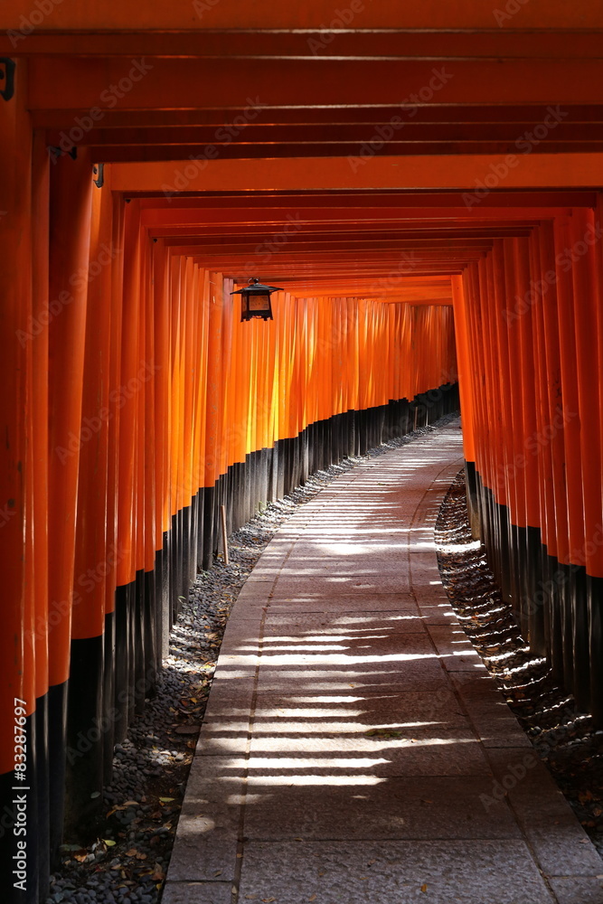 Naklejka premium 伏見稲荷の千本鳥居