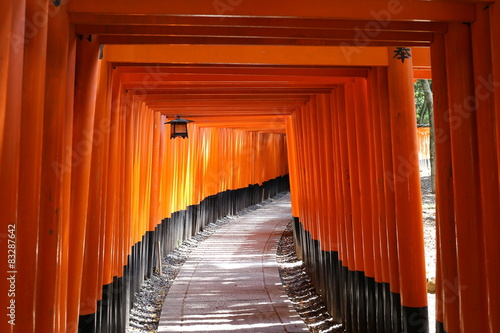伏見稲荷千本鳥居