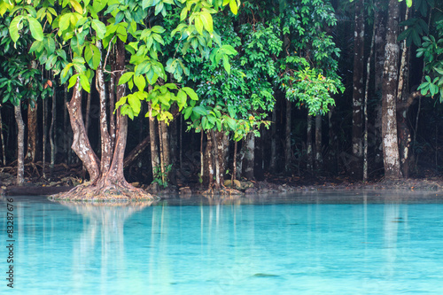Emerald Pool (Sra Morakot) Krabi province , Thailand. photo