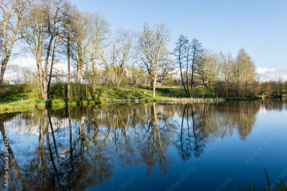 scenic reflections of trees and clouds in water