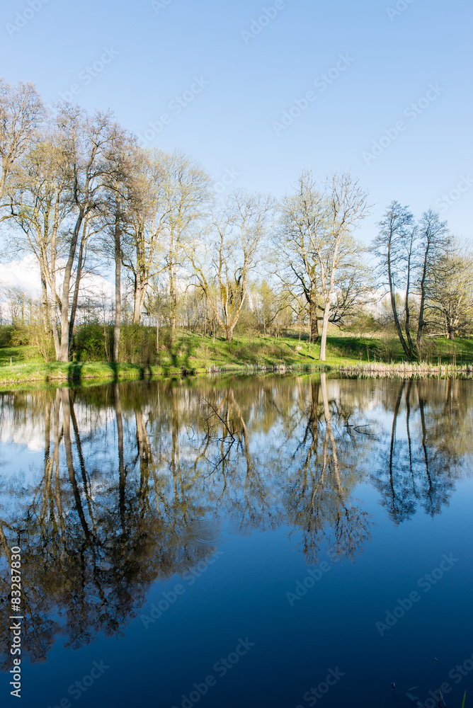 scenic reflections of trees and clouds in water