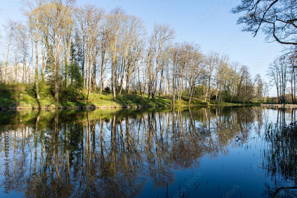 scenic reflections of trees and clouds in water