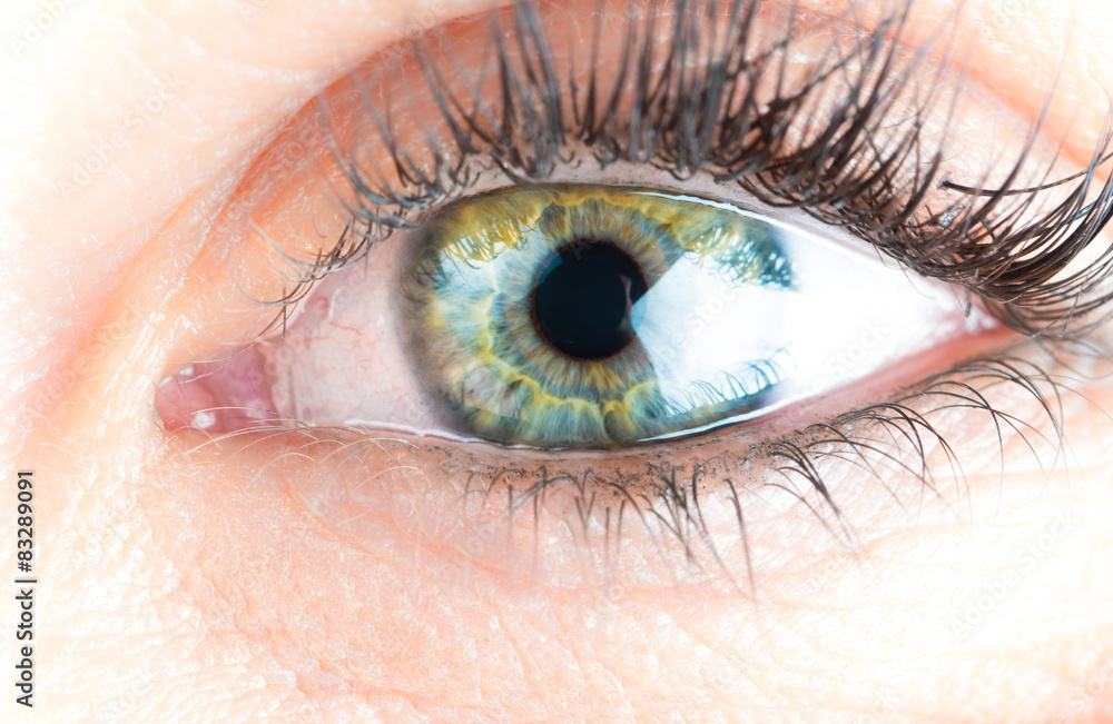 Fototapeta premium eyes and long eyelashes
