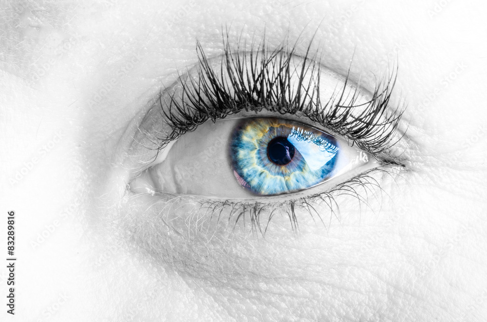 eyes and long eyelashes eyes and long eyelashes