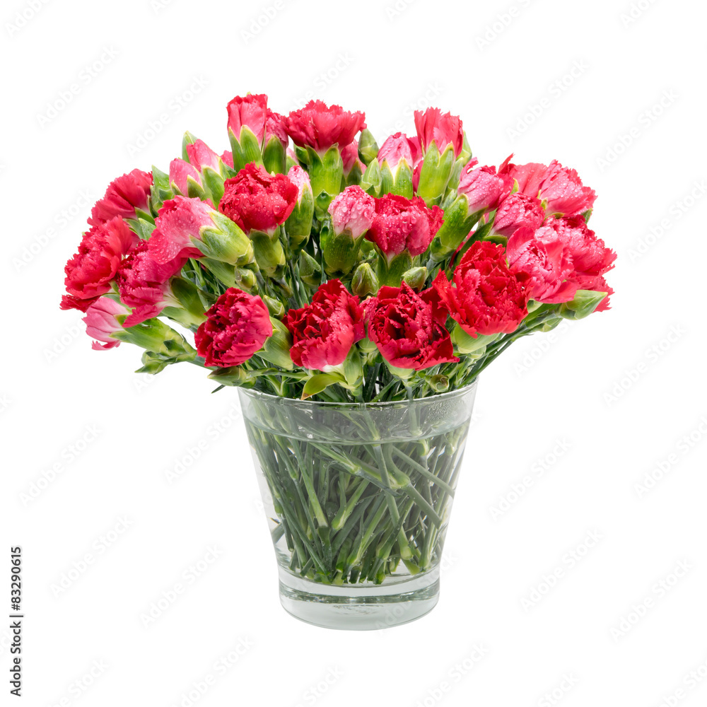 Red carnation in glass vase