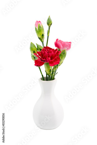 Red carnation in white vase