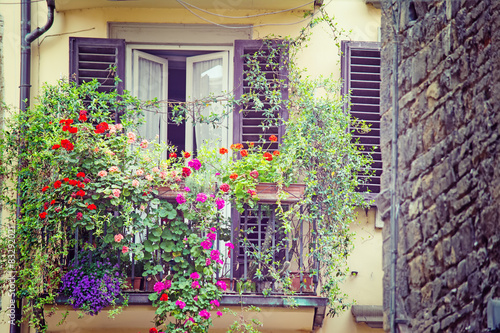 flowers in a vintage balcony in Florence