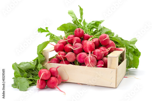 Fresh red radish in crate