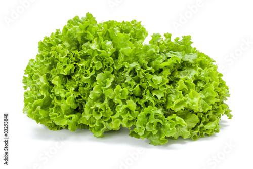 Big green leaf lettuce