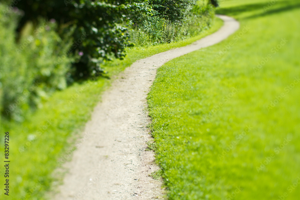 Obraz premium green path 