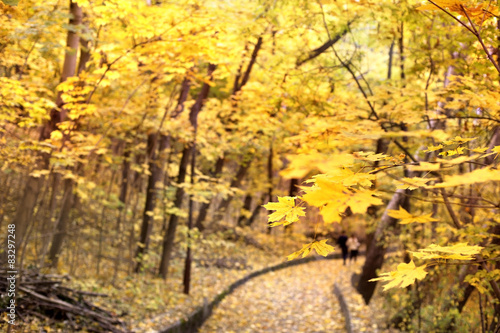 Park in the fall