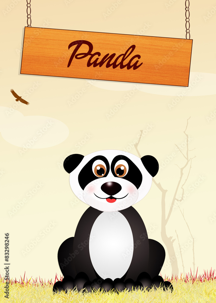 Obraz premium panda