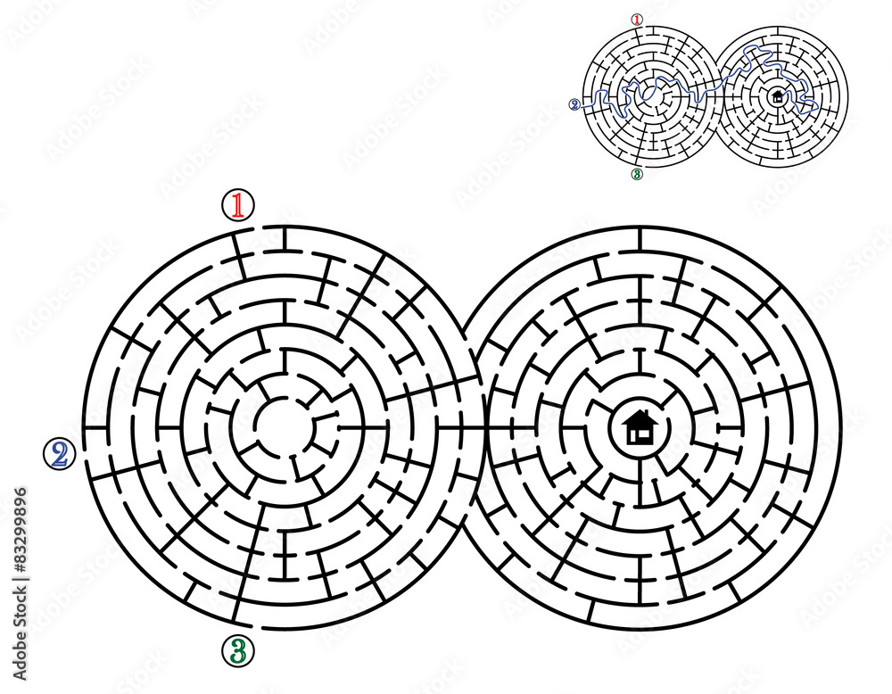 Vector labyrinth