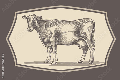 Cow in graphical style in the frame.